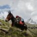 Understanding Mule Events in Mule 4 – DZone